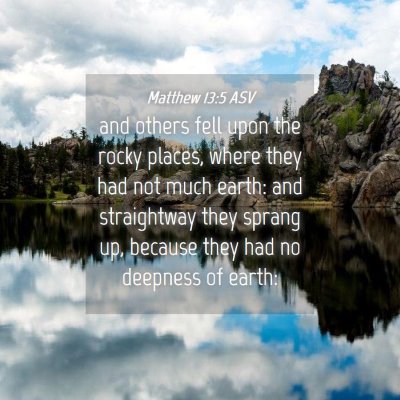 Picture 04 - Matthew 13:5 ASV - and others fell upon the rocky places, where they - Bible Verse Picture
