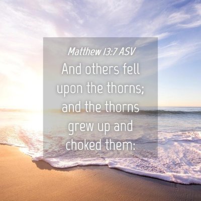Picture 04 - Matthew 13:7 ASV - And others fell upon the thorns; and the thorns - Bible Verse Picture