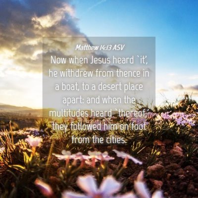 Picture 04 - Matthew 14:13 ASV - Now when Jesus heard `it', he withdrew from - Bible Verse Picture