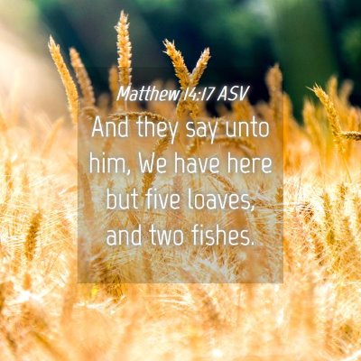 Picture 04 - Matthew 14:17 ASV - And they say unto him, We have here but five - Bible Verse Picture