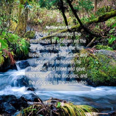 Picture 04 - Matthew 14:19 ASV - And he commanded the multitudes to sit down on - Bible Verse Picture