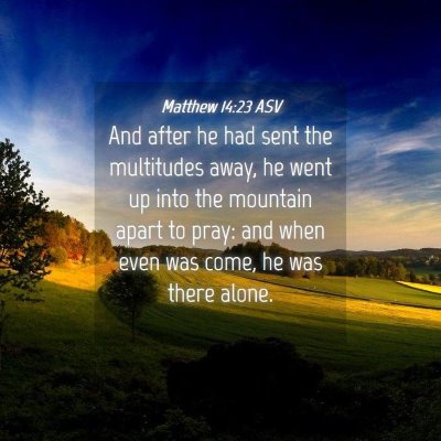 Picture 04 - Matthew 14:23 ASV - And after he had sent the multitudes away, he - Bible Verse Picture