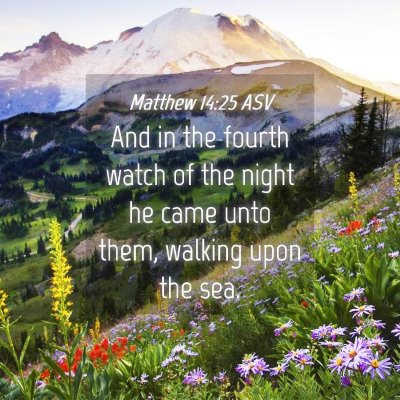 Picture 04 - Matthew 14:25 ASV - And in the fourth watch of the night he came unto - Bible Verse Picture