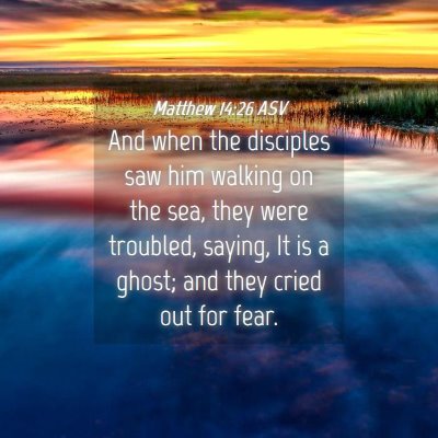 Picture 04 - Matthew 14:26 ASV - And when the disciples saw him walking on the - Bible Verse Picture