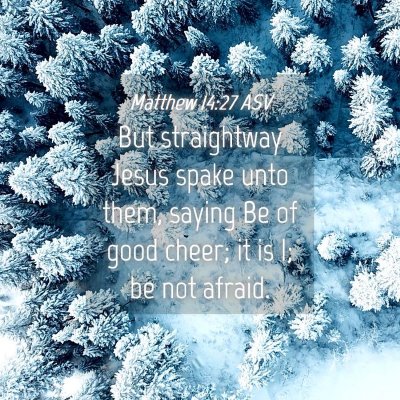 Picture 04 - Matthew 14:27 ASV - But straightway Jesus spake unto them, saying Be - Bible Verse Picture