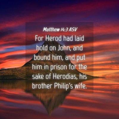 Picture 04 - Matthew 14:3 ASV - For Herod had laid hold on John, and bound him, - Bible Verse Picture