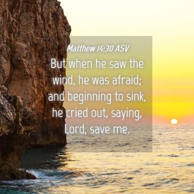 Picture 04 - Matthew 14:30 ASV - But when he saw the wind, he was afraid; and - Bible Verse Picture