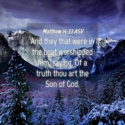 Picture 04 - Matthew 14:33 ASV - And they that were in the boat worshipped him, - Bible Verse Picture