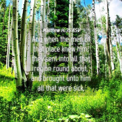 Picture 04 - Matthew 14:35 ASV - And when the men of that place knew him, they - Bible Verse Picture
