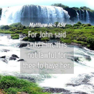 Picture 04 - Matthew 14:4 ASV - For John said unto him, It is not lawful for thee - Bible Verse Picture