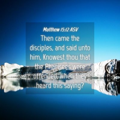 Picture 04 - Matthew 15:12 ASV - Then came the disciples, and said unto him, - Bible Verse Picture