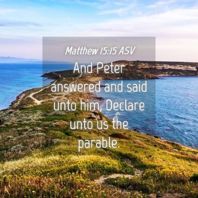 Picture 04 - Matthew 15:15 ASV - And Peter answered and said unto him, Declare - Bible Verse Picture