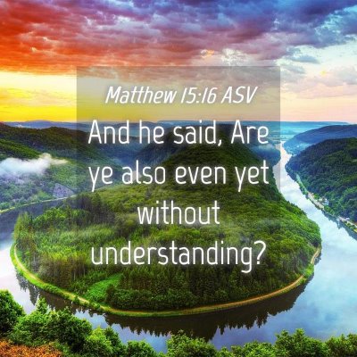 Picture 04 - Matthew 15:16 ASV - And he said, Are ye also even yet without - Bible Verse Picture