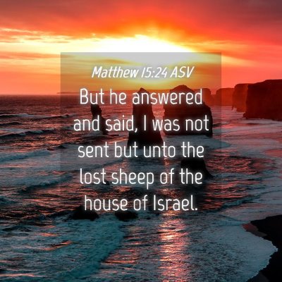 Picture 04 - Matthew 15:24 ASV - But he answered and said, I was not sent but unto - Bible Verse Picture