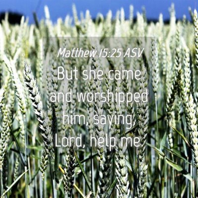 Picture 04 - Matthew 15:25 ASV - But she came and worshipped him, saying, Lord, - Bible Verse Picture
