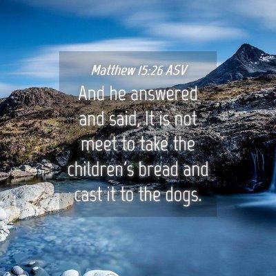 Picture 04 - Matthew 15:26 ASV - And he answered and said, It is not meet to take - Bible Verse Picture