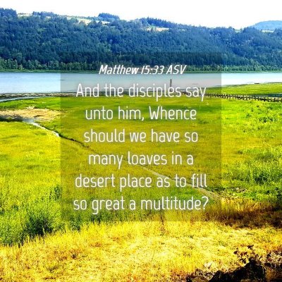 Picture 04 - Matthew 15:33 ASV - And the disciples say unto him, Whence should we - Bible Verse Picture