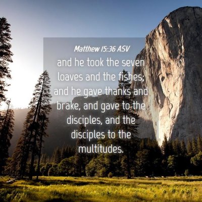 Picture 04 - Matthew 15:36 ASV - and he took the seven loaves and the fishes; and - Bible Verse Picture