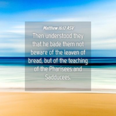 Picture 04 - Matthew 16:12 ASV - Then understood they that he bade them not beware - Bible Verse Picture