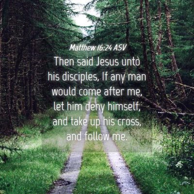 Picture 04 - Matthew 16:24 ASV - Then said Jesus unto his disciples, If any man - Bible Verse Picture