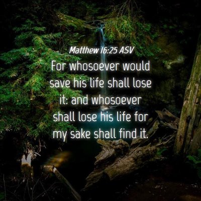 Picture 04 - Matthew 16:25 ASV - For whosoever would save his life shall lose it: - Bible Verse Picture
