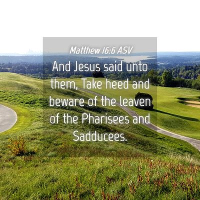 Picture 04 - Matthew 16:6 ASV - And Jesus said unto them, Take heed and beware of - Bible Verse Picture