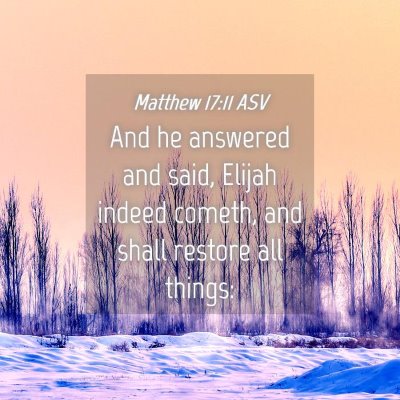 Picture 04 - Matthew 17:11 ASV - And he answered and said, Elijah indeed cometh, - Bible Verse Picture