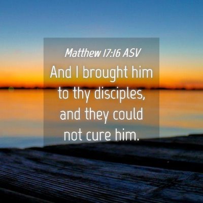Picture 04 - Matthew 17:16 ASV - And I brought him to thy disciples, and they - Bible Verse Picture