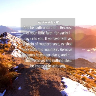 Picture 04 - Matthew 17:20 ASV - And he saith unto them, Because of your little - Bible Verse Picture