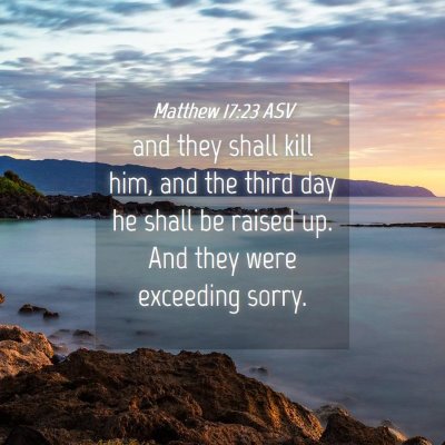 Picture 04 - Matthew 17:23 ASV - and they shall kill him, and the third day he - Bible Verse Picture