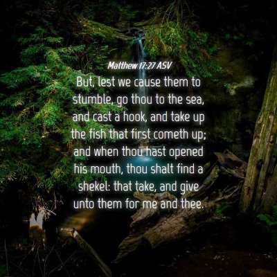 Picture 04 - Matthew 17:27 ASV - But, lest we cause them to stumble, go thou to - Bible Verse Picture