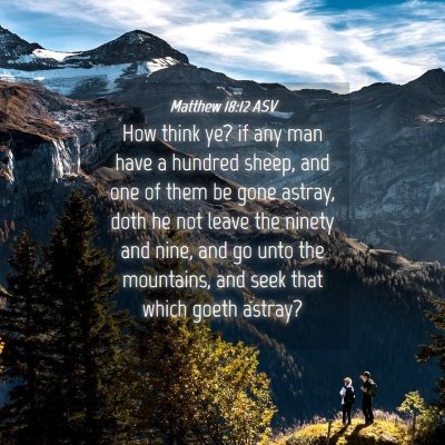 Picture 04 - Matthew 18:12 ASV - How think ye? if any man have a hundred sheep, - Bible Verse Picture