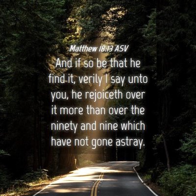 Picture 04 - Matthew 18:13 ASV - And if so be that he find it, verily I say unto - Bible Verse Picture