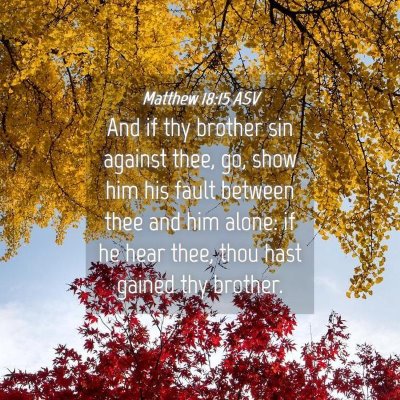 Picture 04 - Matthew 18:15 ASV - And if thy brother sin against thee, go, show him - Bible Verse Picture