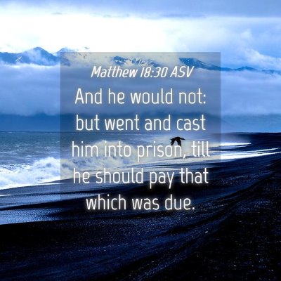 Picture 04 - Matthew 18:30 ASV - And he would not: but went and cast him into - Bible Verse Picture