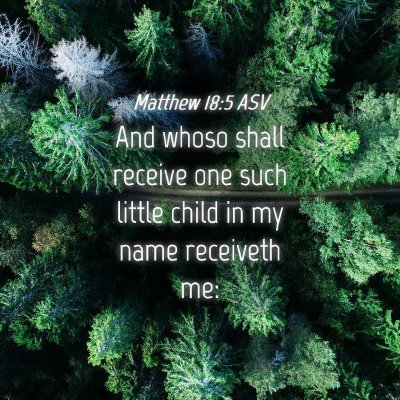 Picture 04 - Matthew 18:5 ASV - And whoso shall receive one such little child in - Bible Verse Picture