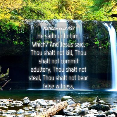 Picture 04 - Matthew 19:18 ASV - He saith unto him, Which? And Jesus said, Thou - Bible Verse Picture