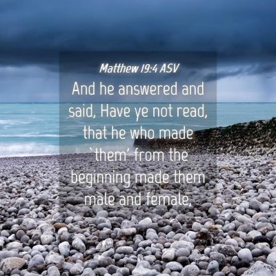 Picture 04 - Matthew 19:4 ASV - And he answered and said, Have ye not read, that - Bible Verse Picture