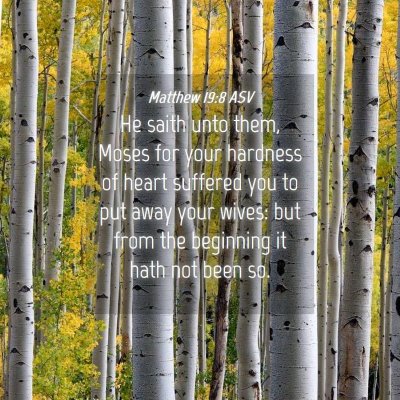 Picture 04 - Matthew 19:8 ASV - He saith unto them, Moses for your hardness of - Bible Verse Picture