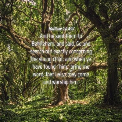 Picture 04 - Matthew 2:8 ASV - And he sent them to Bethlehem, and said, Go and - Bible Verse Picture