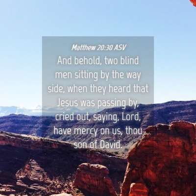 Picture 04 - Matthew 20:30 ASV - And behold, two blind men sitting by the way - Bible Verse Picture