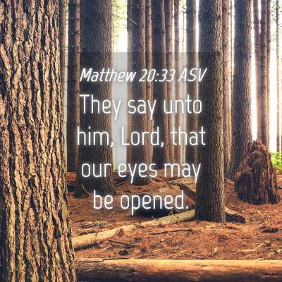 Picture 04 - Matthew 20:33 ASV - They say unto him, Lord, that our eyes may be - Bible Verse Picture
