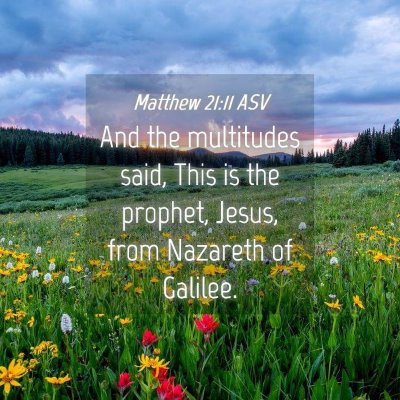 Picture 04 - Matthew 21:11 ASV - And the multitudes said, This is the prophet, - Bible Verse Picture
