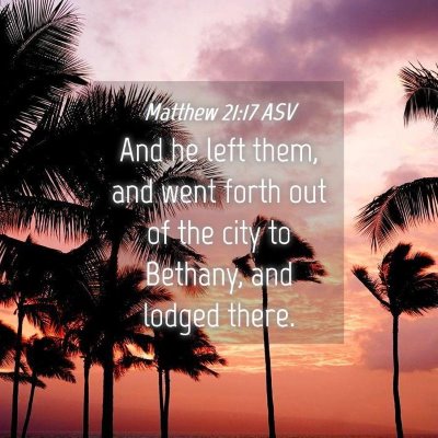 Picture 04 - Matthew 21:17 ASV - And he left them, and went forth out of the city - Bible Verse Picture