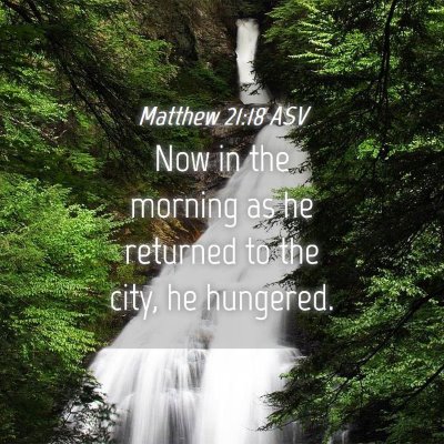 Picture 04 - Matthew 21:18 ASV - Now in the morning as he returned to the city, he - Bible Verse Picture