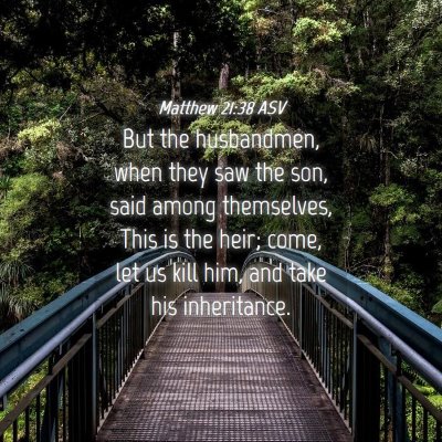 Picture 04 - Matthew 21:38 ASV - But the husbandmen, when they saw the son, said - Bible Verse Picture