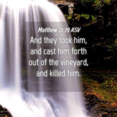 Picture 04 - Matthew 21:39 ASV - And they took him, and cast him forth out of the - Bible Verse Picture