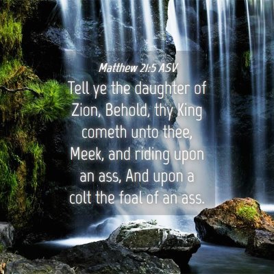Picture 04 - Matthew 21:5 ASV - Tell ye the daughter of Zion, Behold, thy King - Bible Verse Picture