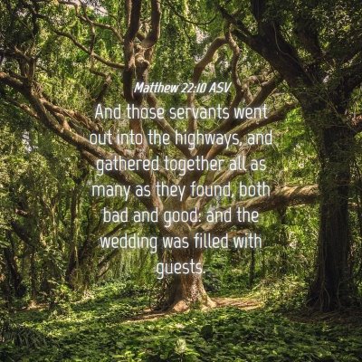 Picture 04 - Matthew 22:10 ASV - And those servants went out into the highways, - Bible Verse Picture