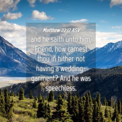 Picture 04 - Matthew 22:12 ASV - and he saith unto him, Friend, how camest thou in - Bible Verse Picture